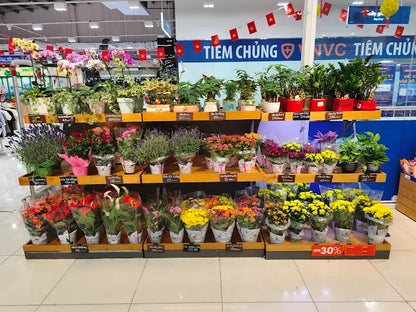 4. Giờ mở cửa của siêu thị như thế nào?